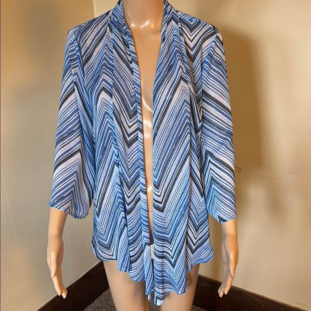 JM Collection Blue and Black Chevron Cardigan